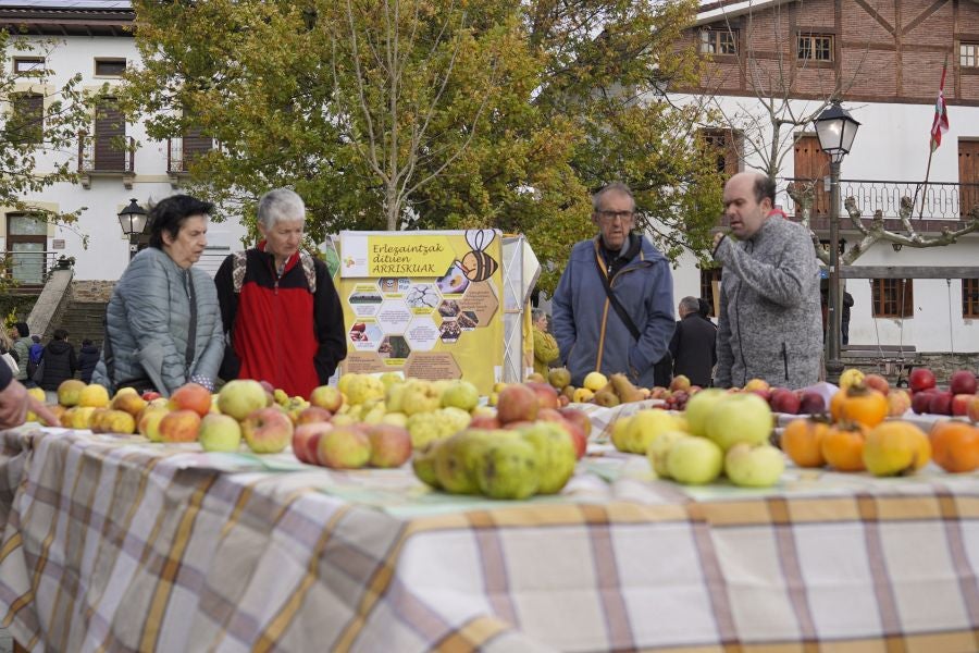 Sagar festa Gabirian