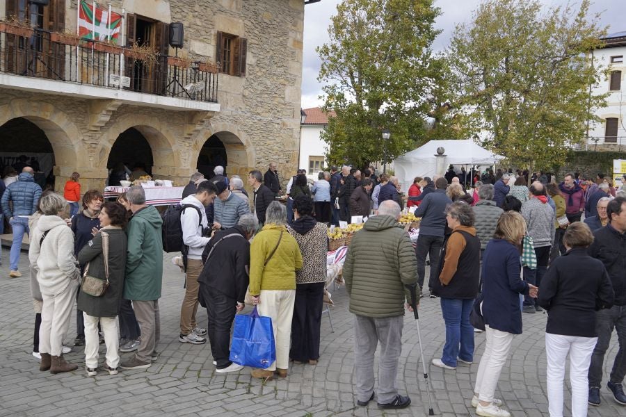 Sagar festa Gabirian