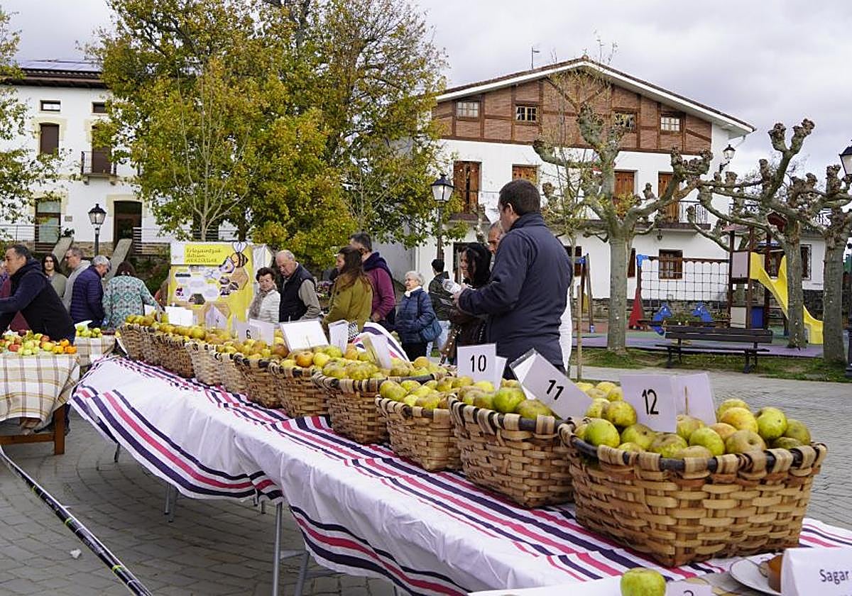 Sagar festa Gabirian