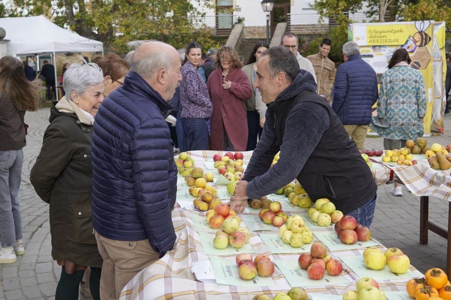 Sagar festa Gabirian