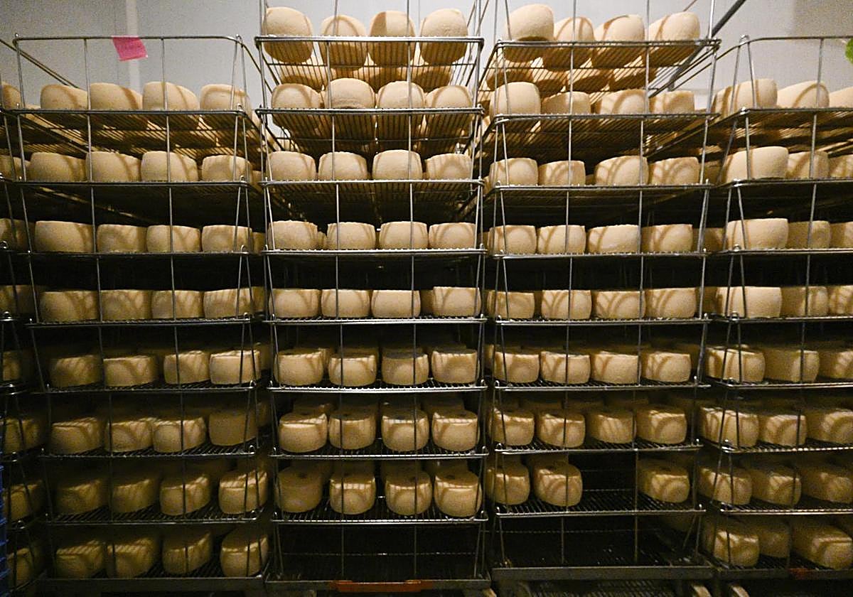 Quesos Idiazabal en el caserio Ondramuño