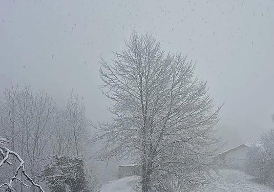 Llega la masa de aire ártico a Gipuzkoa: consulta los municipios que se quedarán con temperaturas bajo cero esta semana
