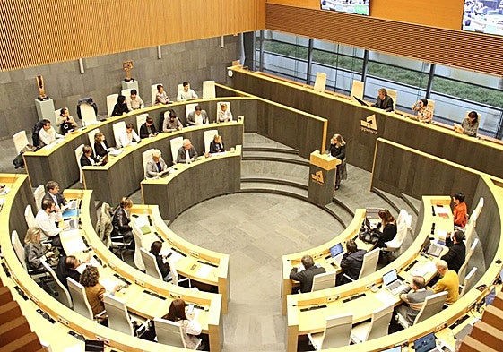 La diputada de Hacienda yFinanzas, Itziar Agirre, compareció ayer en las Juntas de Gipuzkoa para la aprobación de los dos impuestos.