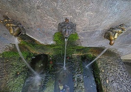 Una de las imágenes que concurrió al rally fotográfico de Soraluze del pasado año.