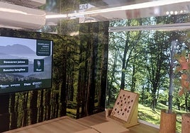 'Egurraren Herria' malekoian