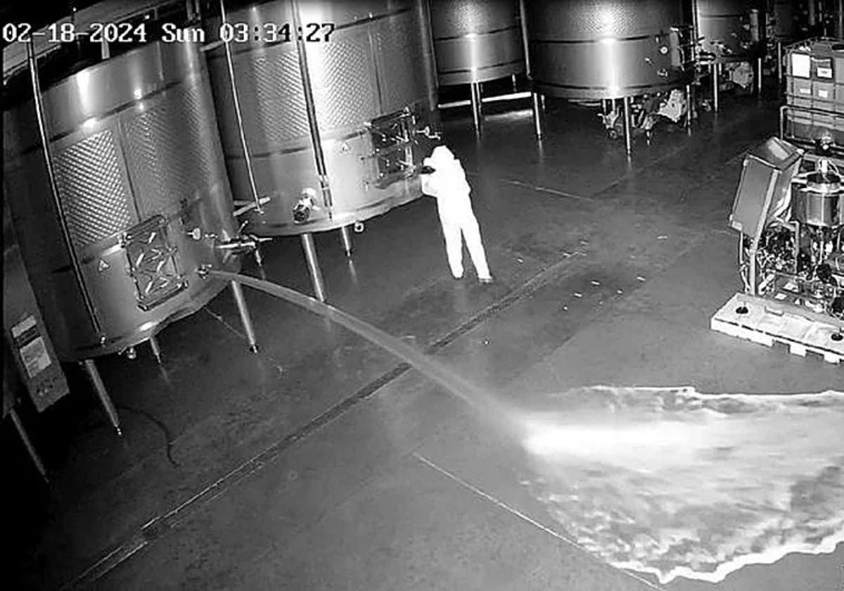 Detenida una mujer por el sabotaje de 60.000 litros de vino en una bodega de Valladolid