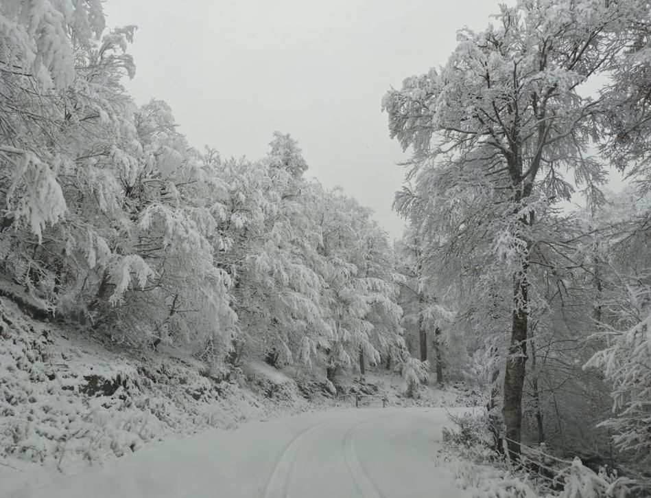 La nieve se suma a los chubascos por la masa de aire ártico en Gipuzkoa