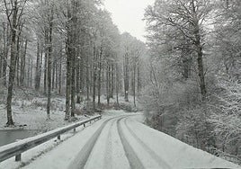 La nieve se suma a los chubascos por la masa de aire ártico en Gipuzkoa