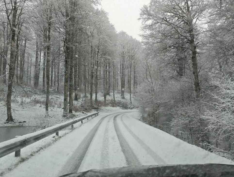 La nieve se suma a los chubascos por la masa de aire ártico en Gipuzkoa