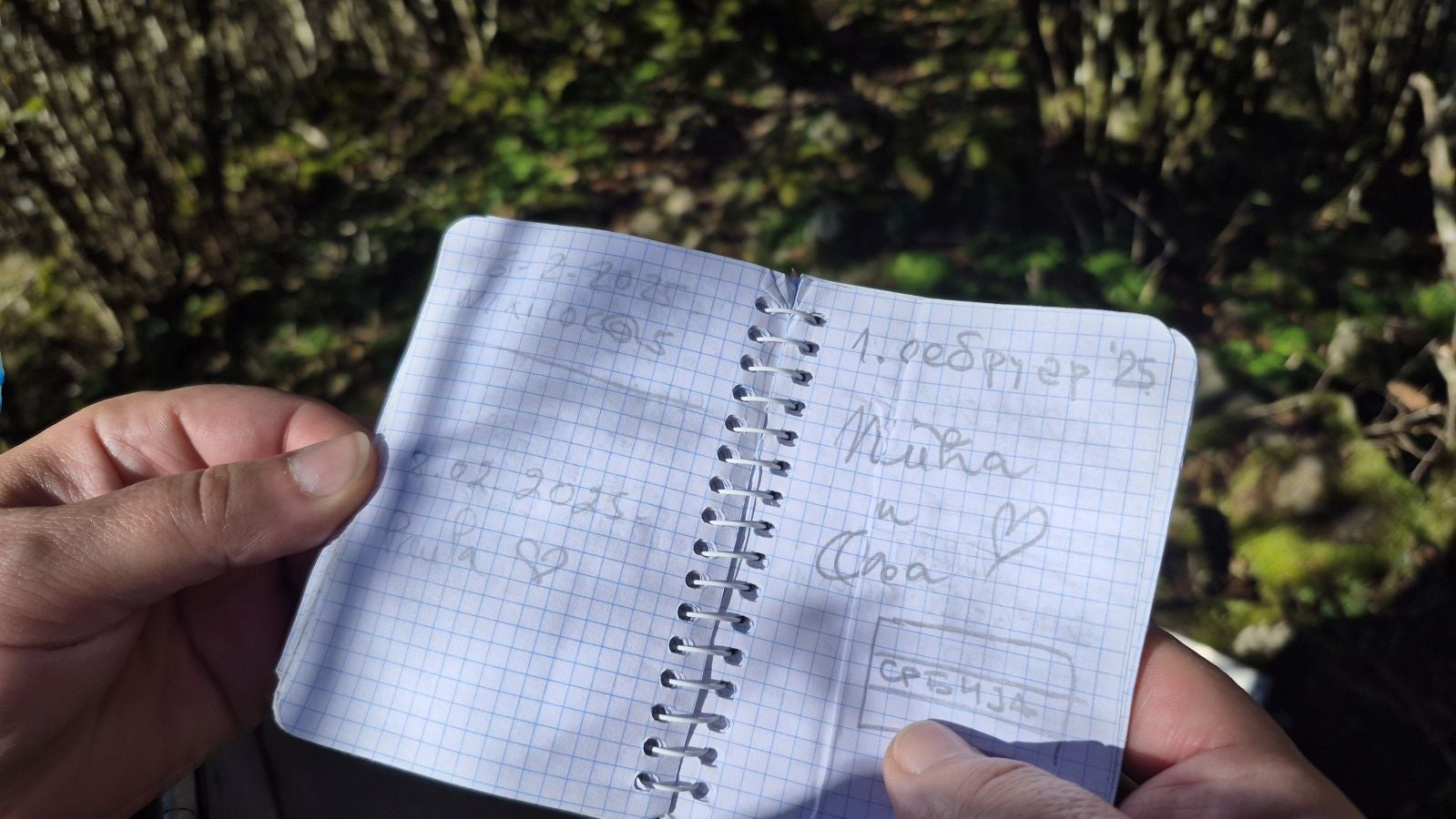 El increíble lienzo de Tolosaldea