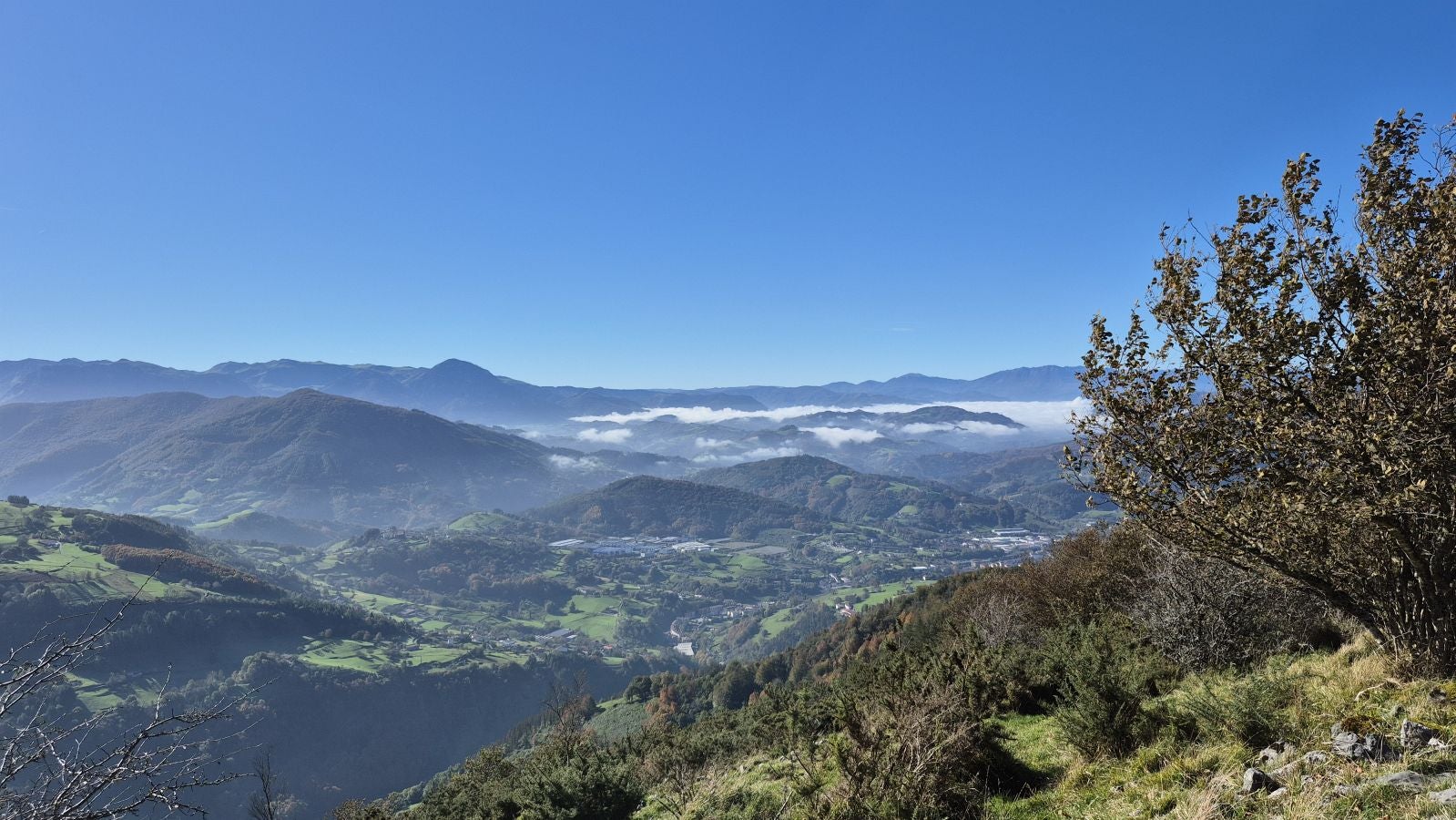 El increíble lienzo de Tolosaldea