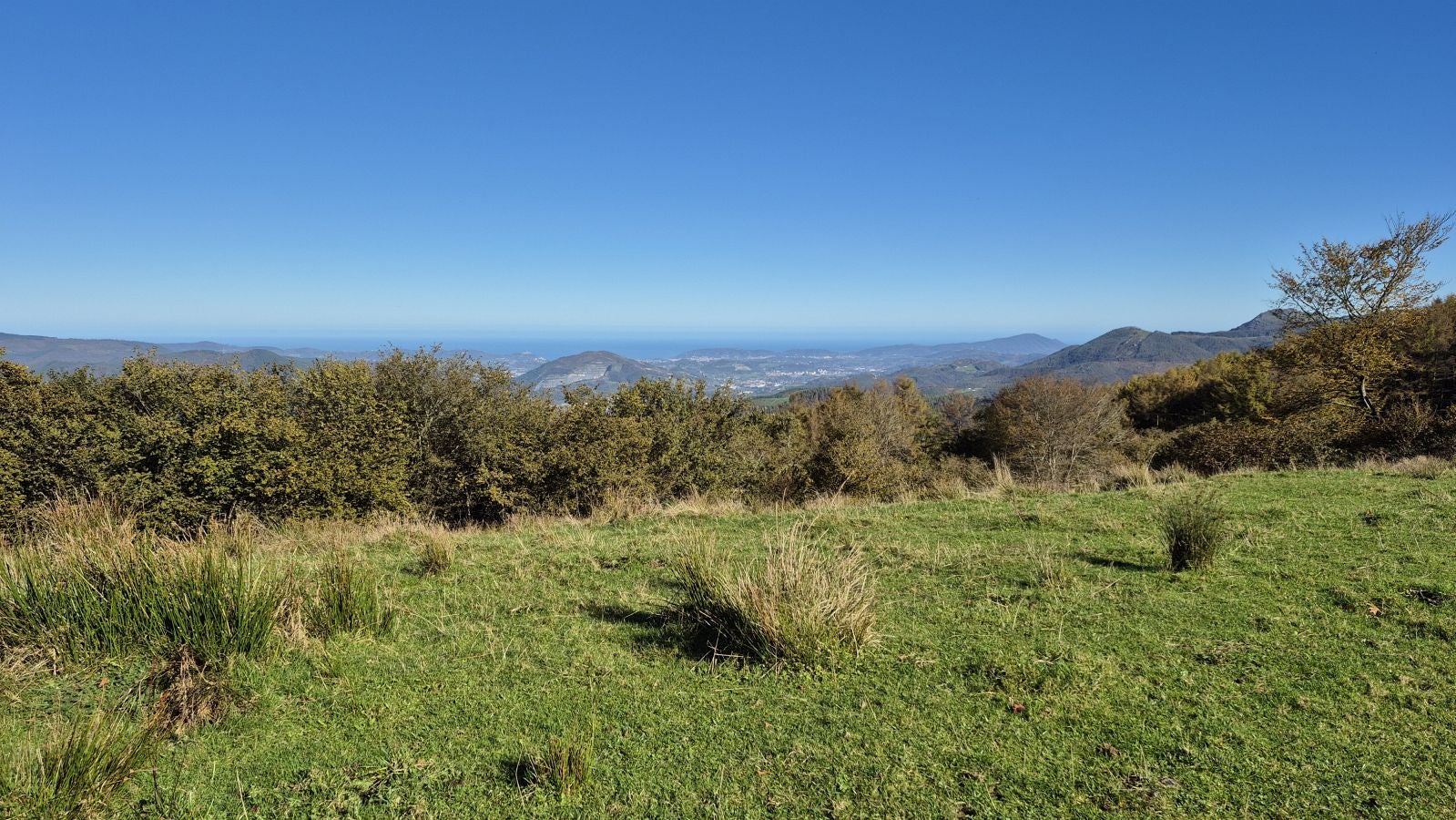 El increíble lienzo de Tolosaldea