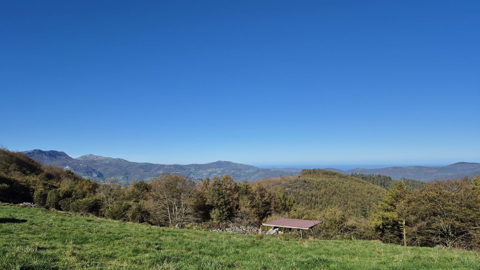 El increíble lienzo de Tolosaldea