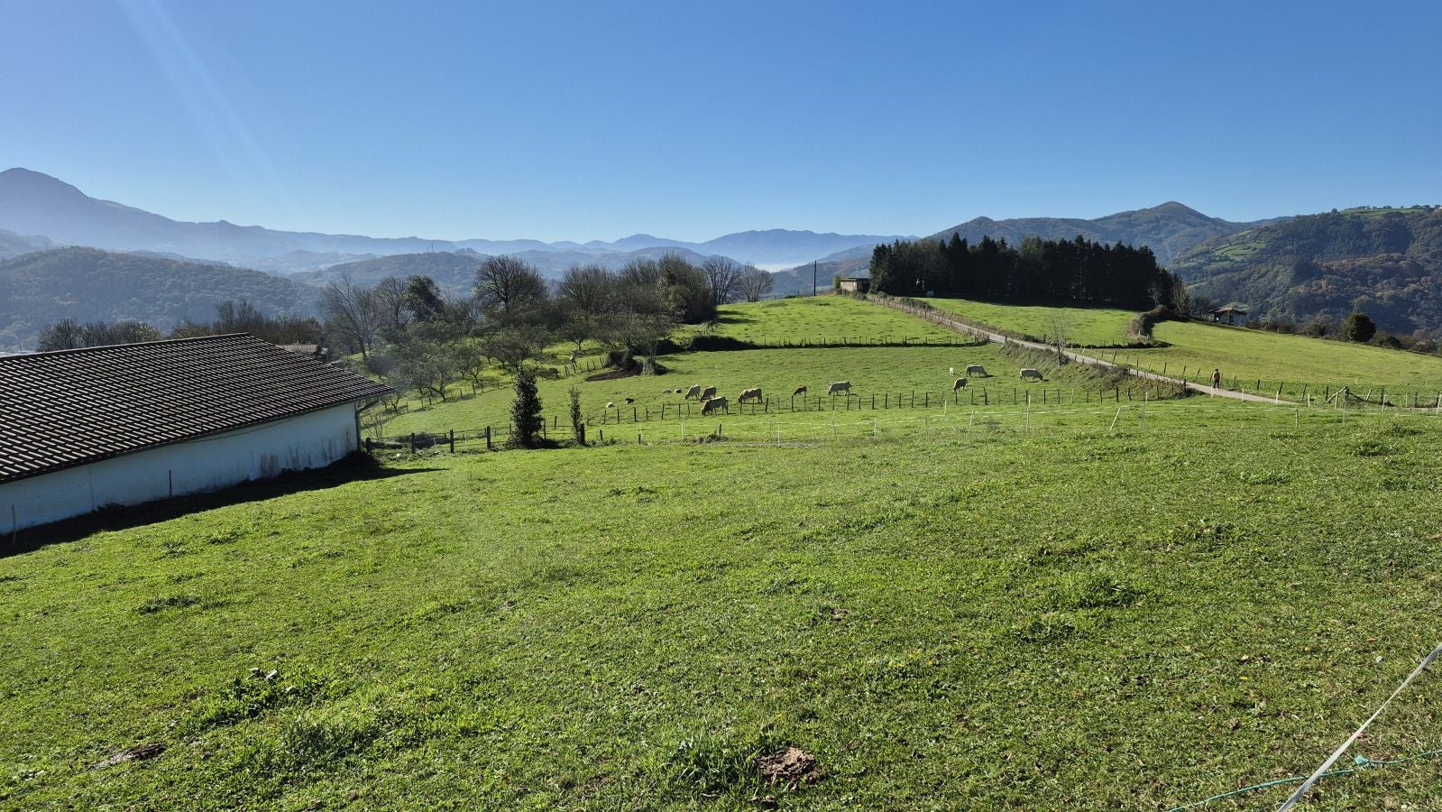 El increíble lienzo de Tolosaldea