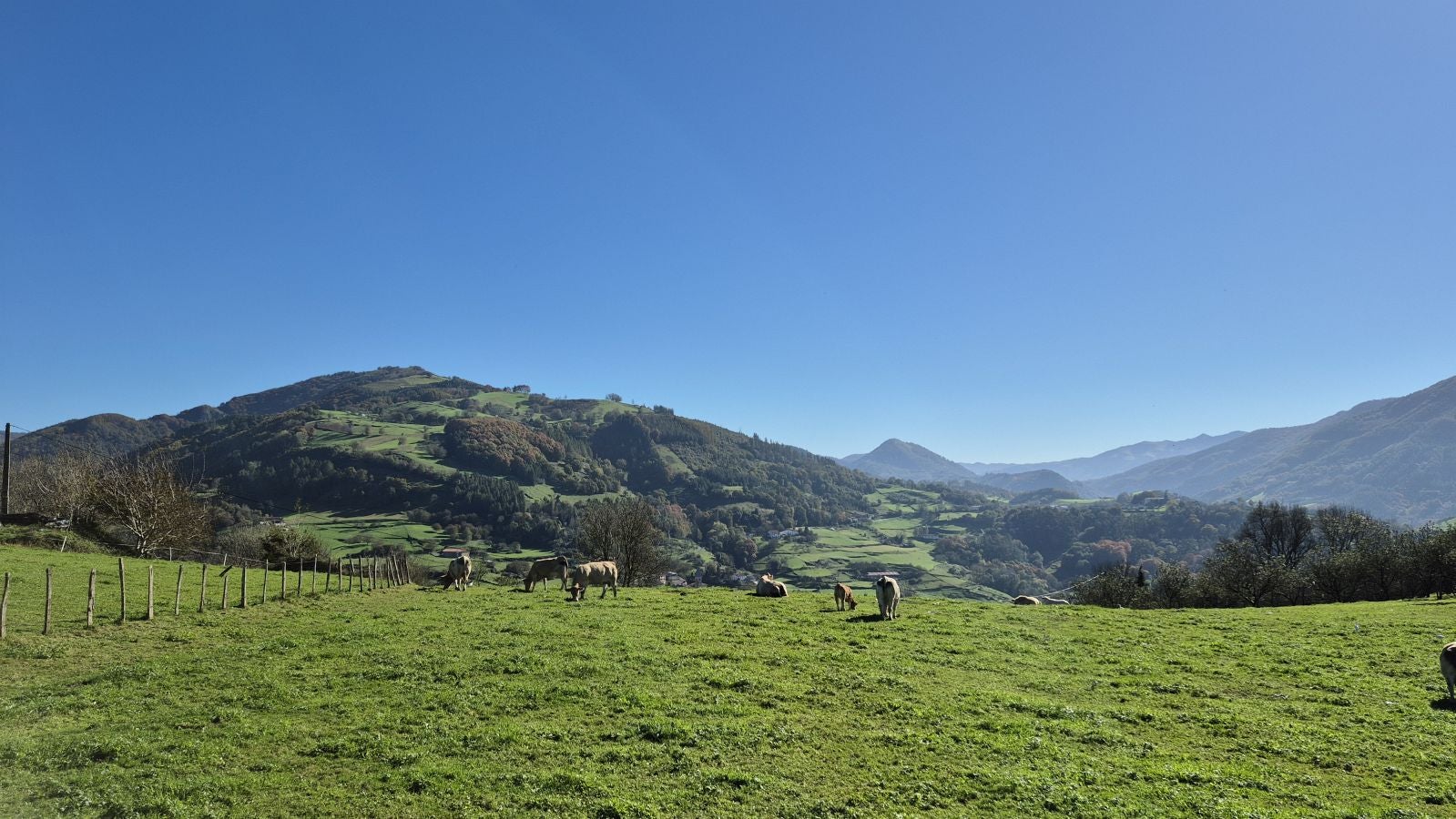 El increíble lienzo de Tolosaldea