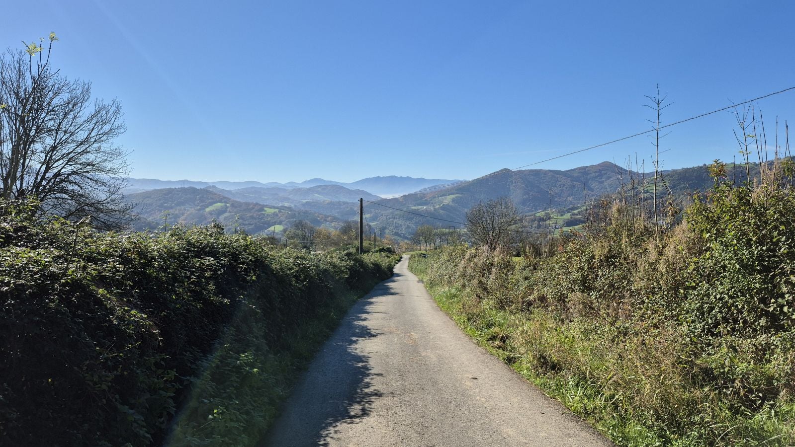 El increíble lienzo de Tolosaldea