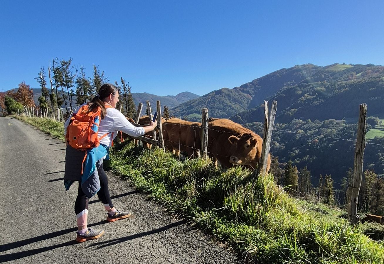 El increíble lienzo de Tolosaldea