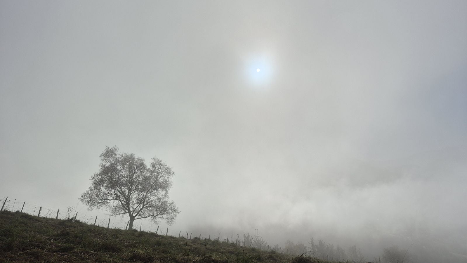 El increíble lienzo de Tolosaldea