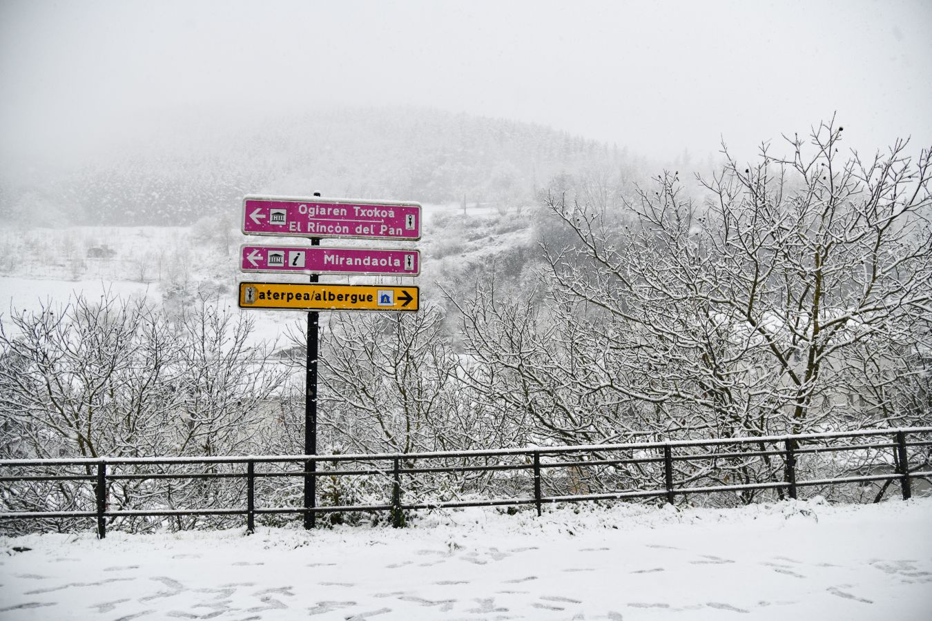 Nieve en el entorno de Mirandaola. 