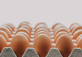 Mercadona ajusta su oferta de huevos por el avance de la gripe aviar: «Es puntual»