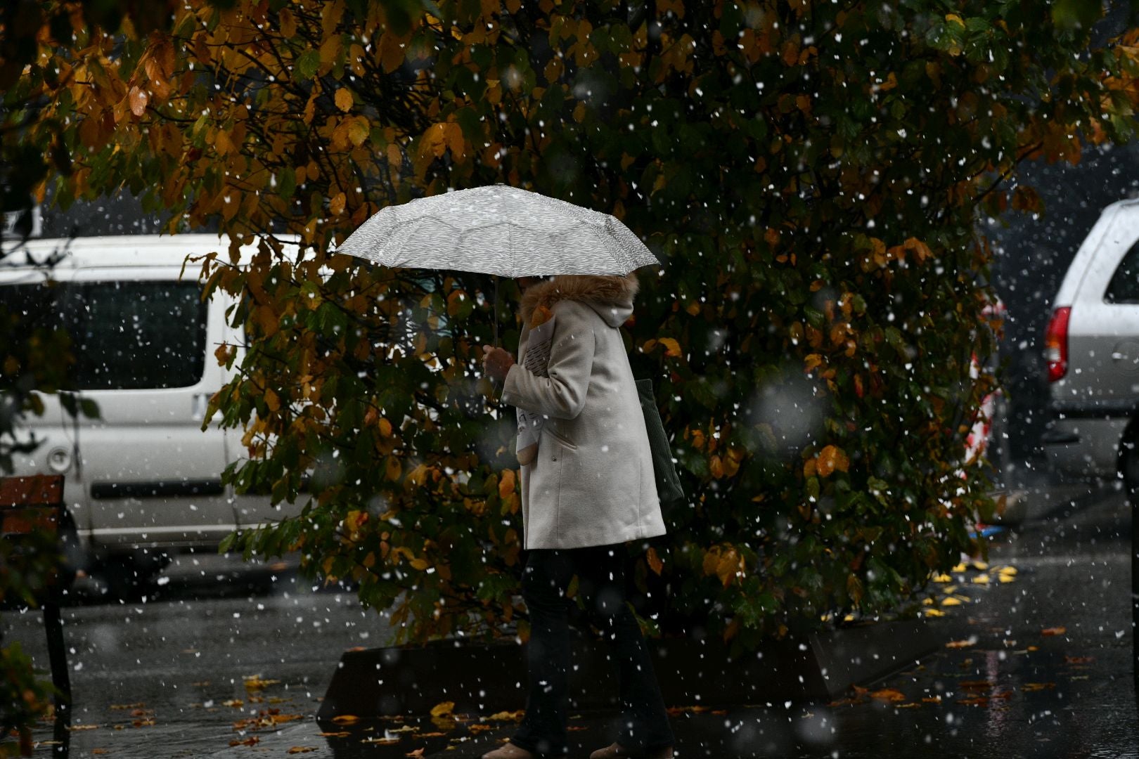 En Zumarraga, también ha nevado esta mañana de forma intermitente. 