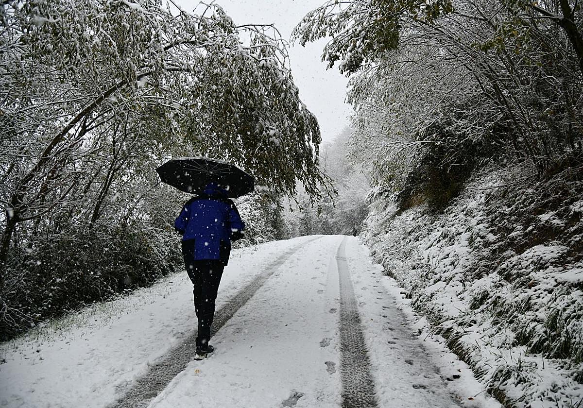 Vídeo: de Zumarraga a Eibar, así ha cubierto la nieve el interior de Gipuzkoa