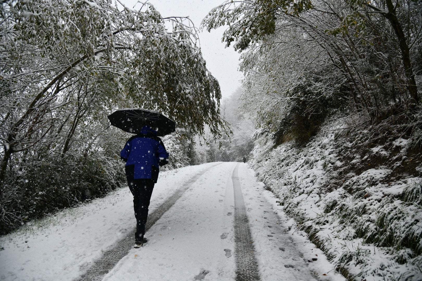 Preciosa imagen de uno de los caminos cercanos a la ermita de Zumarraga. 