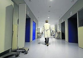 Osakidetza atendió el pasado año a 599 guipuzcoanas víctimas de violencia de género, un 16,7% más que en 2023