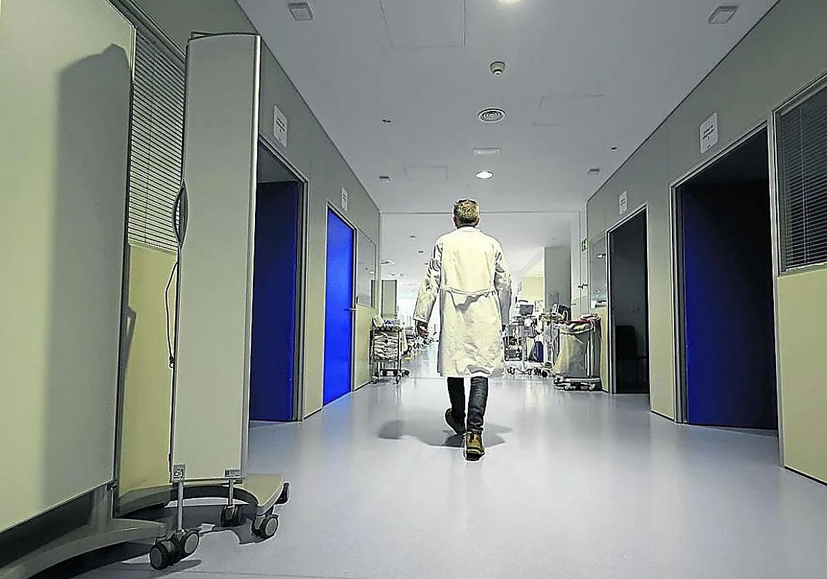 Osakidetza atendió el pasado año a 599 guipuzcoanas víctimas de violencia de género, un 16,7% más que en 2023