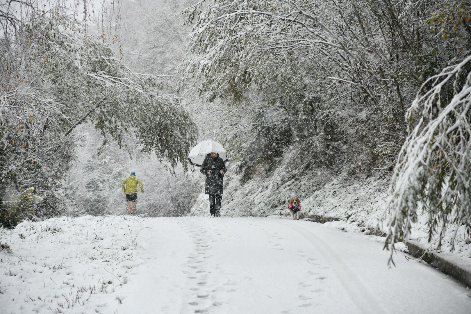 La llegada de la nieve a Gipuzkoa, en imágenes