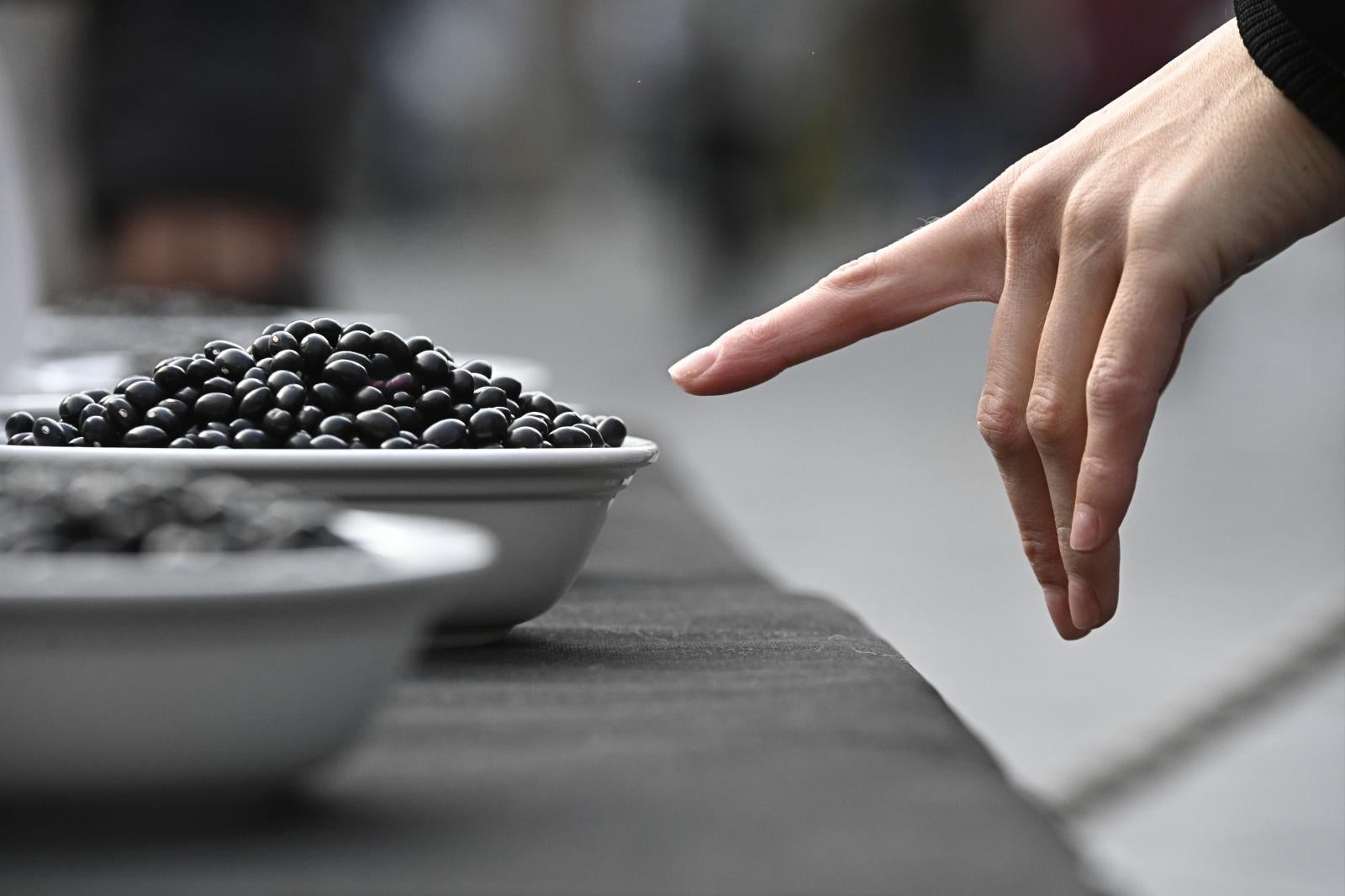 Tolosa se llena de sabor y cultura en el fin de semana de Santa Cecilia