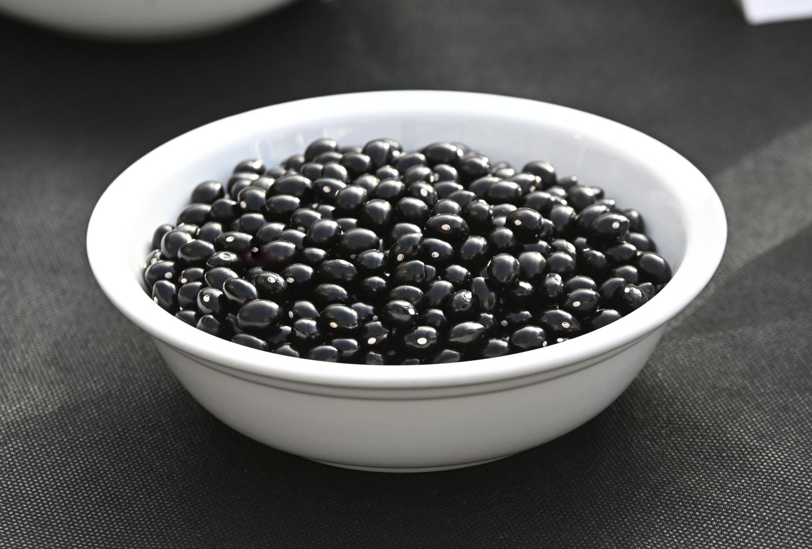 Tolosa se llena de sabor y cultura en el fin de semana de Santa Cecilia