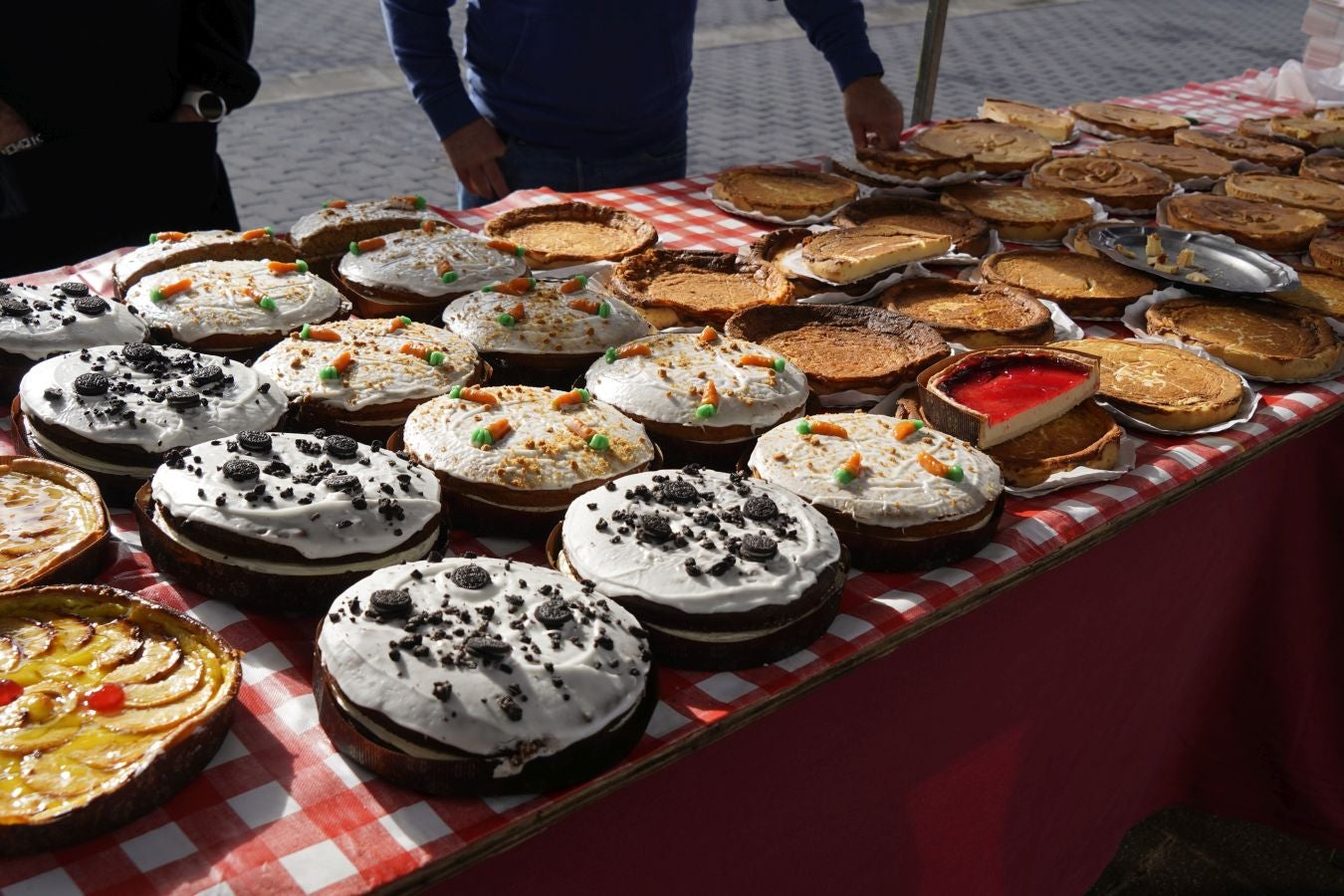 Odolkia, babarrunak eta ardoa nagusi Ormaiztegin