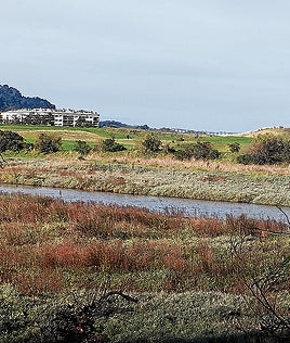 Con los trabajos, se crearán nuevos espacios de restauración de marismas y vegetación dunar.