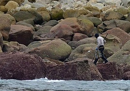 Un inspector rastrea una zona de percebes en Gipuzkoa para controlar su estado.