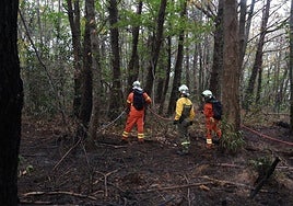 Bomberos de Gipuzkoa en el incendio forestal ocurrido en Hondarribia este noviembre.