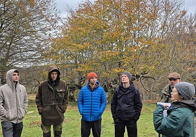 La investigadora londinense Helen Read explica a algunos de sus colegas ingleses detalles de los trasmochos de Leitzalarrea.