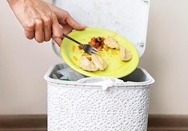 Kanpoan jatea eta alferrik ez galtzea: aldaketa Euskadin