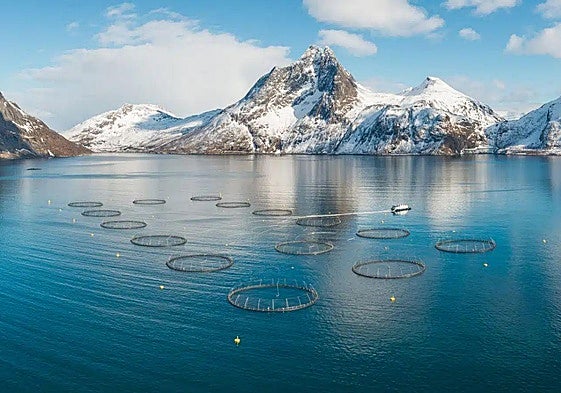 Piscifactoría de la compañía SalMar en Noruega.