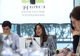 Goizane Álvarez, en las Juntas Generales de Gipuzkoa.