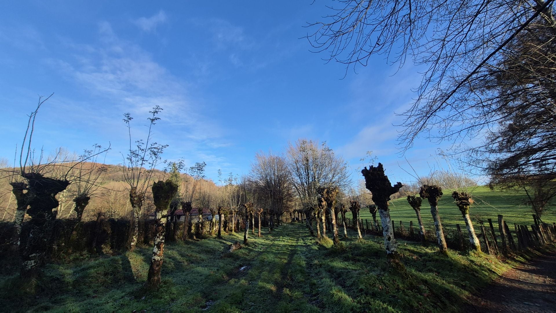 Las mejores imágenes del monte Ulizar