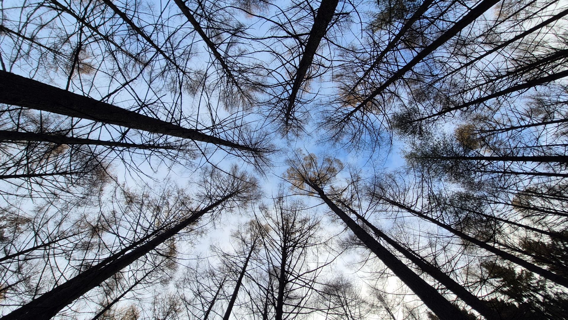 Las mejores imágenes del monte Ulizar