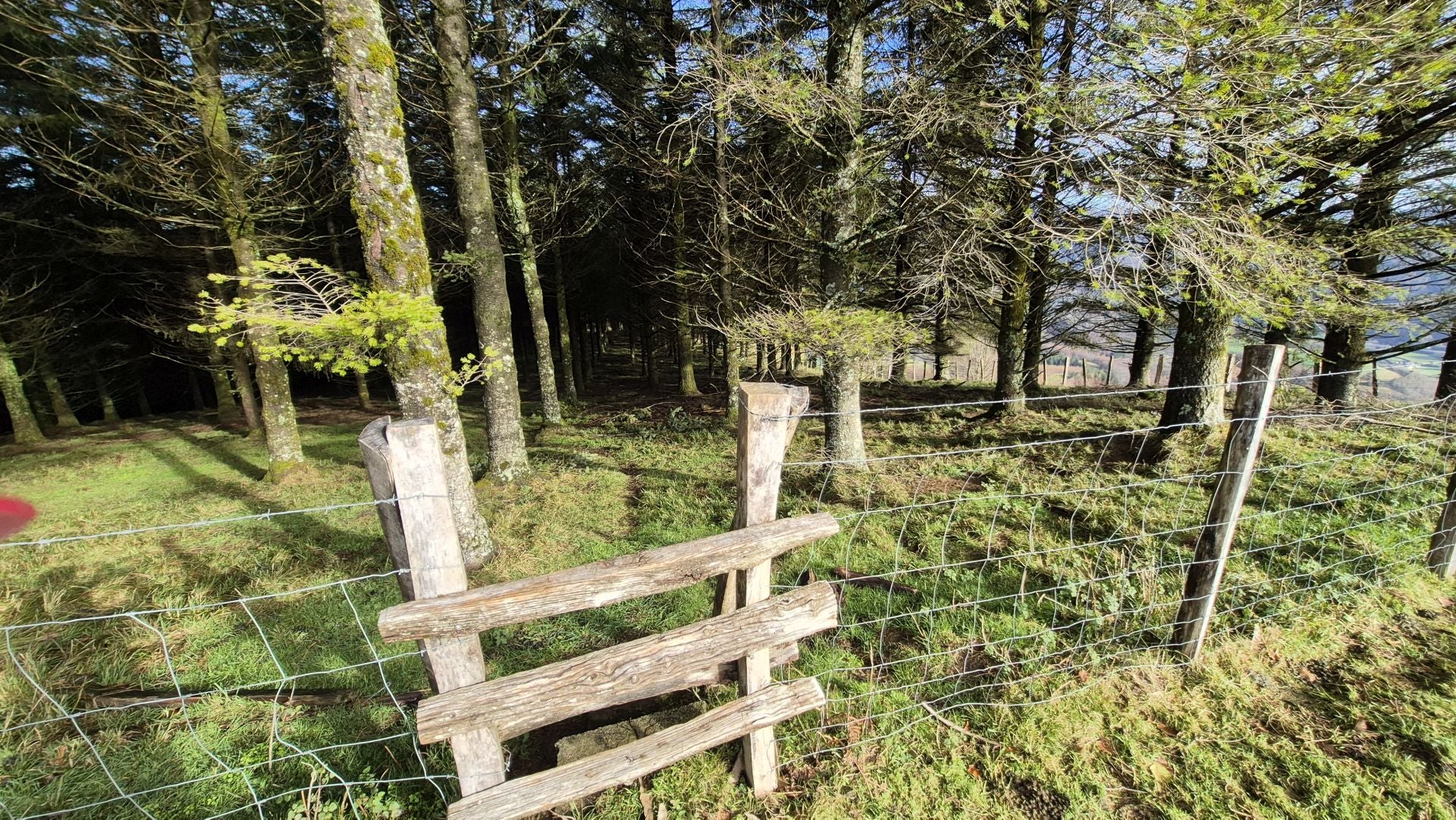 Las mejores imágenes del monte Ulizar