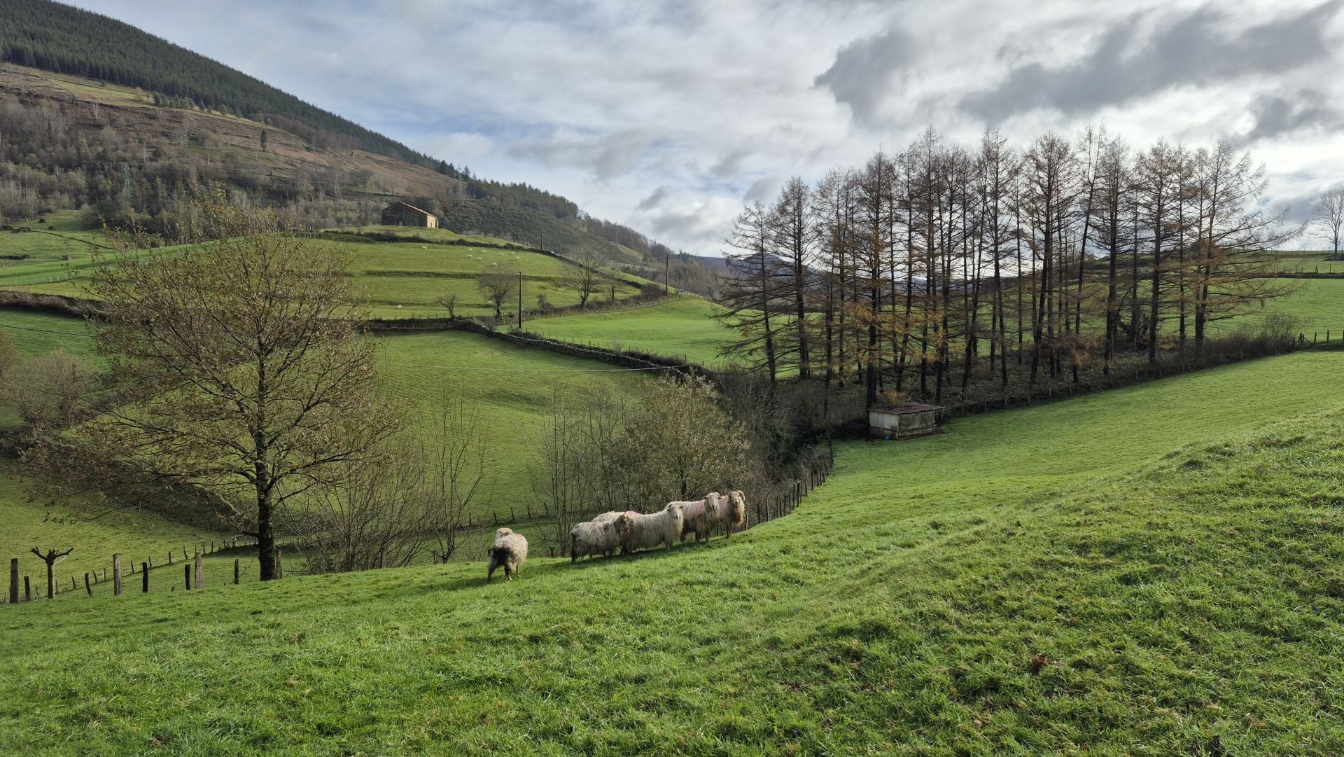Las mejores imágenes del monte Ulizar