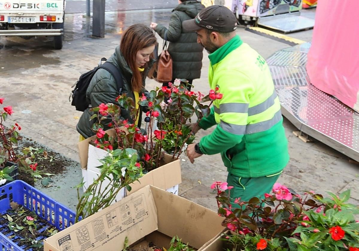 Un operario entrega una planta en un reparto anterior.