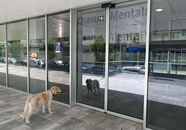 Un perro a la entrada de la unidad de salud mental del Hospital de Eibar.