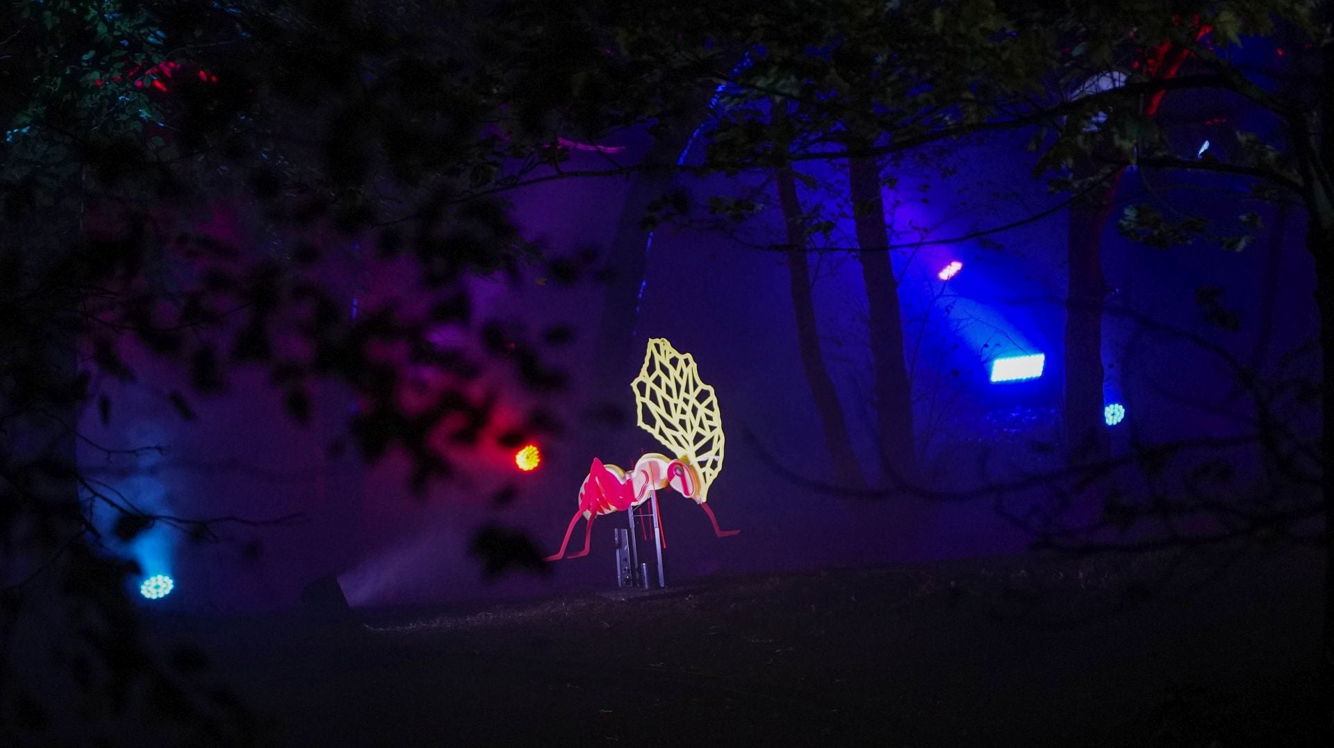 Miramar Magikoaren irekiera ekitaldia