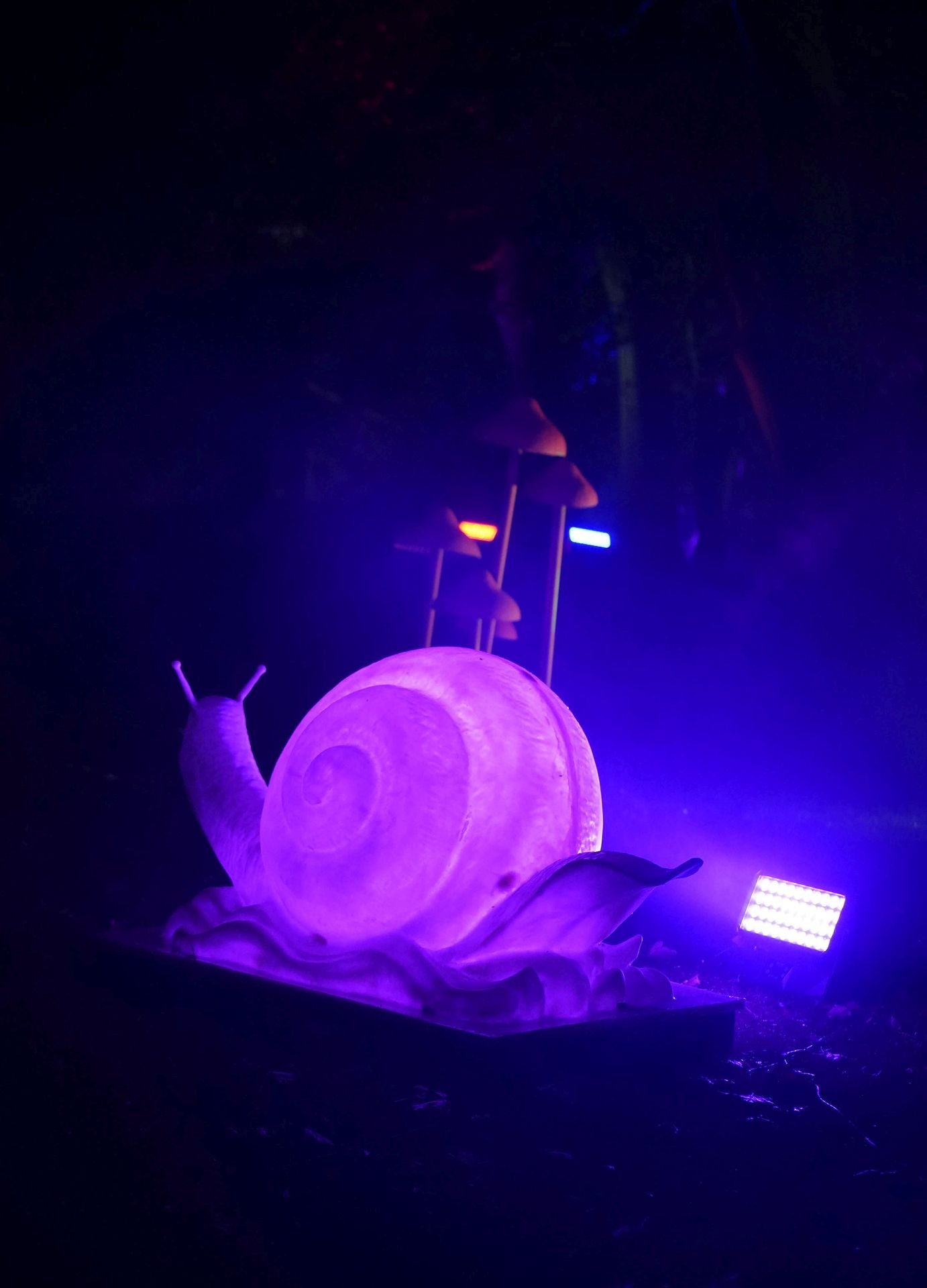 Miramar Magikoaren irekiera ekitaldia