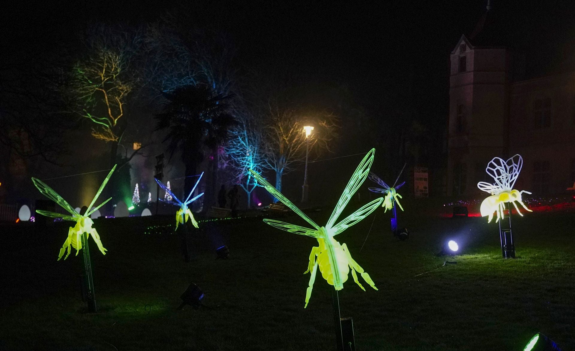 Miramar Magikoaren irekiera ekitaldia