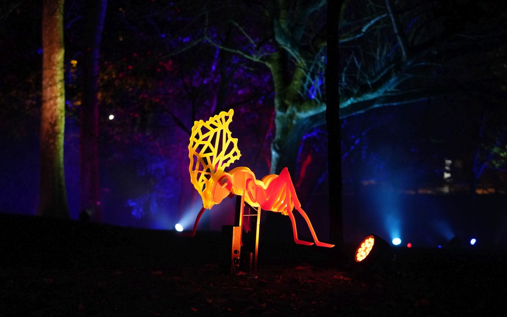 Miramar Magikoaren irekiera ekitaldia